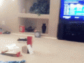 200bw.gif